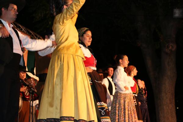 Festival Internacional Folclore Villa Miguelturra-2014-07-12-fuente Area Comunicacion Municipal-135