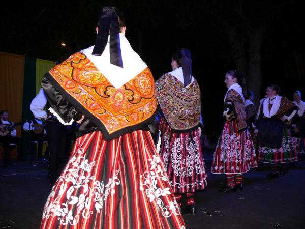festival internacional folclore 2012-14-07-2012-fuente Area Comunicacion Municipal-164