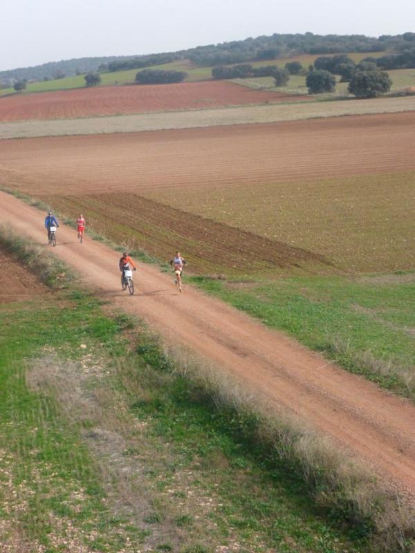 Media Maraton Rural Villa Miguelturra desde el aire-2014-11-23-fuente Club Paramotor Miguelturra-067