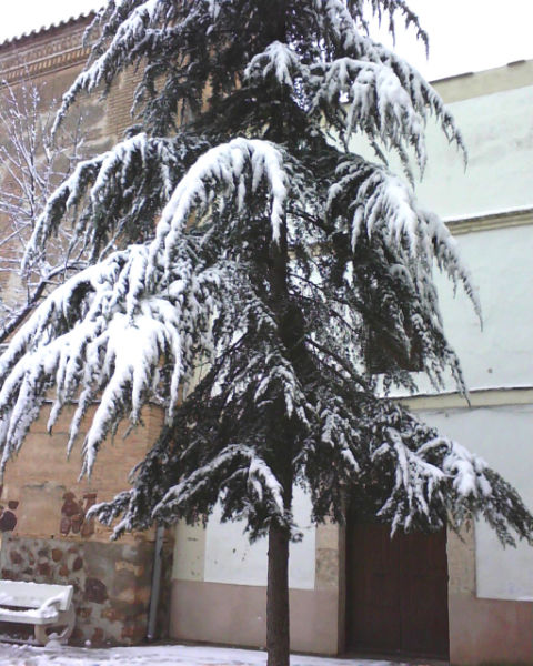 Colegio La Merced-curso 2009-2010-nevada enero- fuente Colegio Merced-08