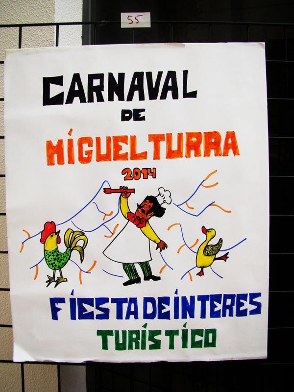 exposicion de los carteles presentados al carnaval 2014-fuente www.miguelturra.es-55