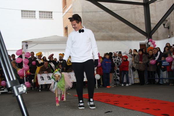 Concurso de mascotas Carnaval 2015 - Dejando Huella-fuente Area Comunicacion Municipal-23