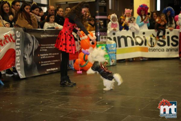 Concurso Mascotas Dejando Huella - Carnaval 2018-Fuente imagen Area Comunicacion Ayuntamiento Miguelturra-014
