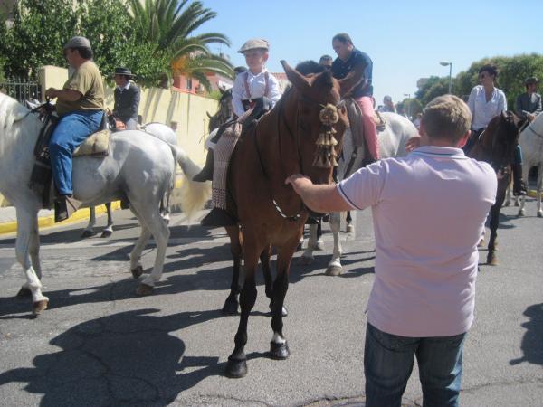 pasacalles caballos ferias-2013-09-01-fuente Area de Festejos-026