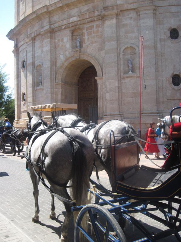 pasacalles caballos ferias-2013-09-01-fuente Area de Festejos-032