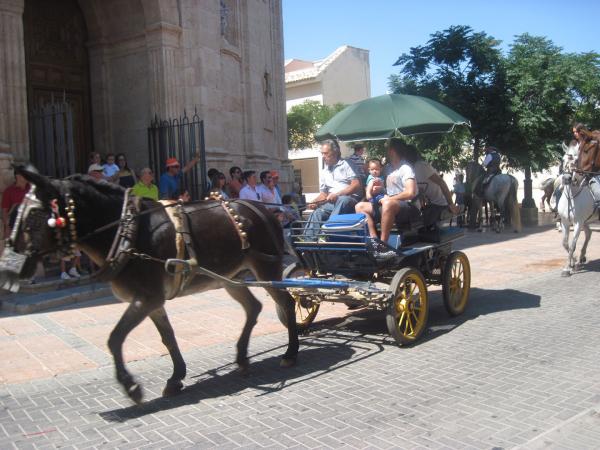pasacalles caballos ferias-2013-09-01-fuente Area de Festejos-034