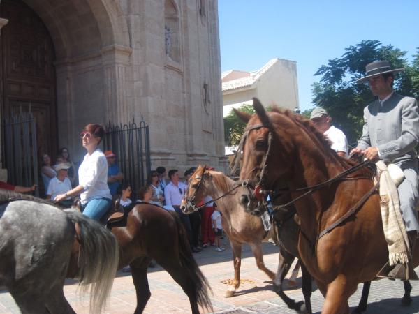 pasacalles caballos ferias-2013-09-01-fuente Area de Festejos-036