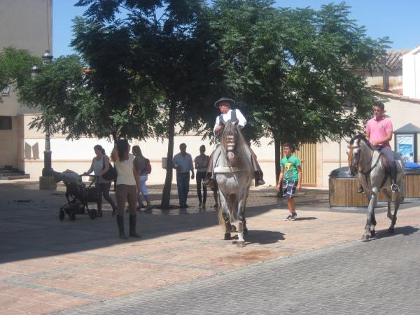 pasacalles caballos ferias-2013-09-01-fuente Area de Festejos-038
