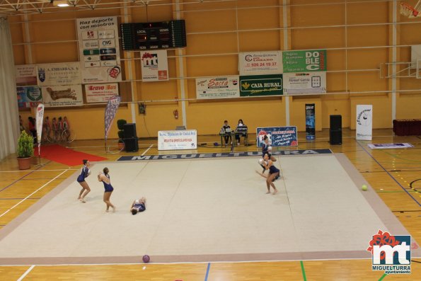 Campeonato Provincial Deporte Edad Escolar de Gimnasia Ritmica-2018-05-13-Fuente imagen Area de Deportes Ayuntamiento Miguelturra-002