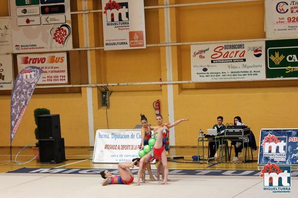 Campeonato Provincial Deporte Edad Escolar de Gimnasia Ritmica-2018-05-13-Fuente imagen Area de Deportes Ayuntamiento Miguelturra-008