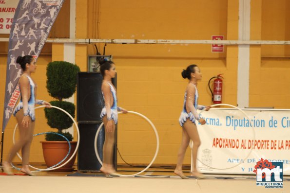 Campeonato Provincial Deporte Edad Escolar de Gimnasia Ritmica-2018-05-13-Fuente imagen Area de Deportes Ayuntamiento Miguelturra-060