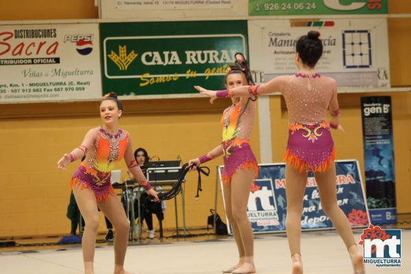 Campeonato Provincial Deporte Edad Escolar de Gimnasia Ritmica-2018-05-13-Fuente imagen Area de Deportes Ayuntamiento Miguelturra-106