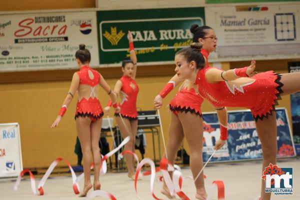 Campeonato Provincial Deporte Edad Escolar de Gimnasia Ritmica-2018-05-13-Fuente imagen Area de Deportes Ayuntamiento Miguelturra-114