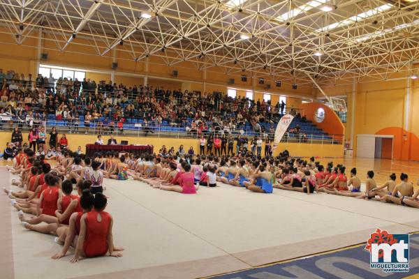 Campeonato Provincial Deporte Edad Escolar de Gimnasia Ritmica-2018-05-13-Fuente imagen Area de Deportes Ayuntamiento Miguelturra-172