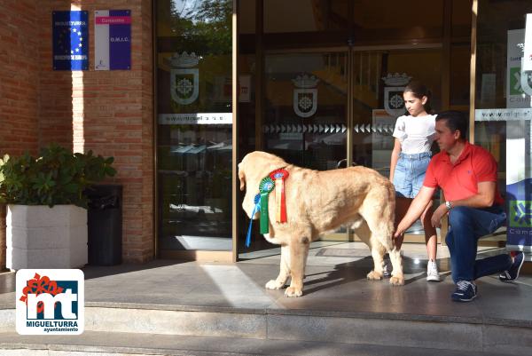 Ganador Mundial perro-julio2022-Fuente imagen Área de Comunicación Ayuntamiento Miguelturra-005
